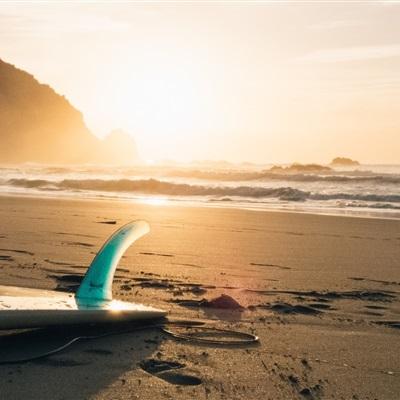 威尼斯软件·下载